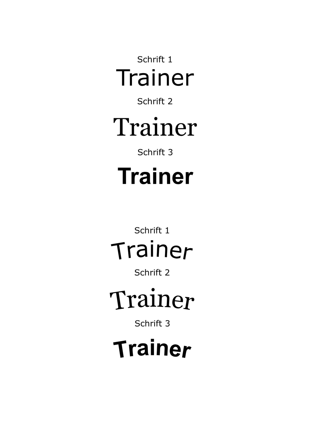 Herren T-Shirt / Funktionshirt Druck "Trainer / Trainerteam"
