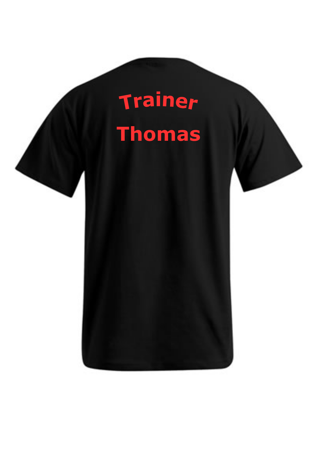 Herren T-Shirt / Funktionshirt Druck "Trainer / Trainerteam"