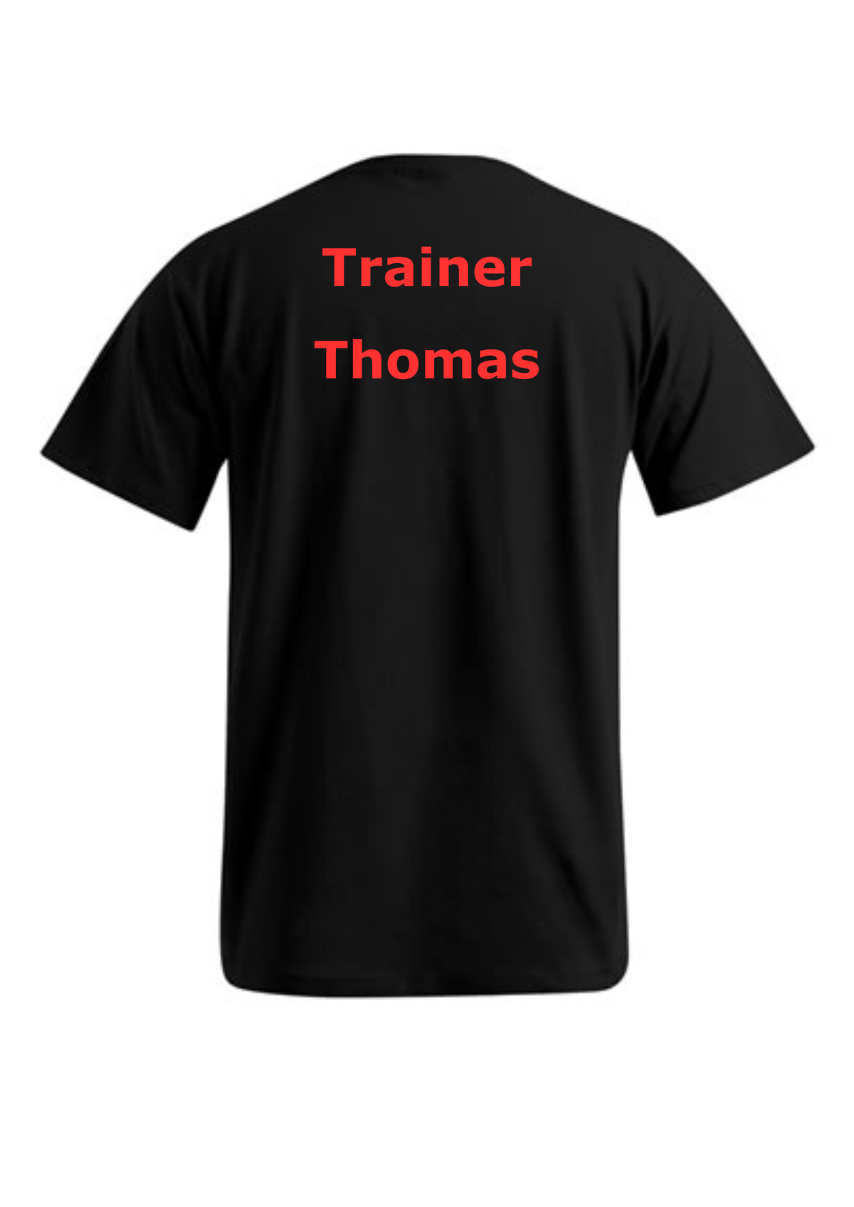 Herren T-Shirt / Funktionshirt Druck "Trainer / Trainerteam"